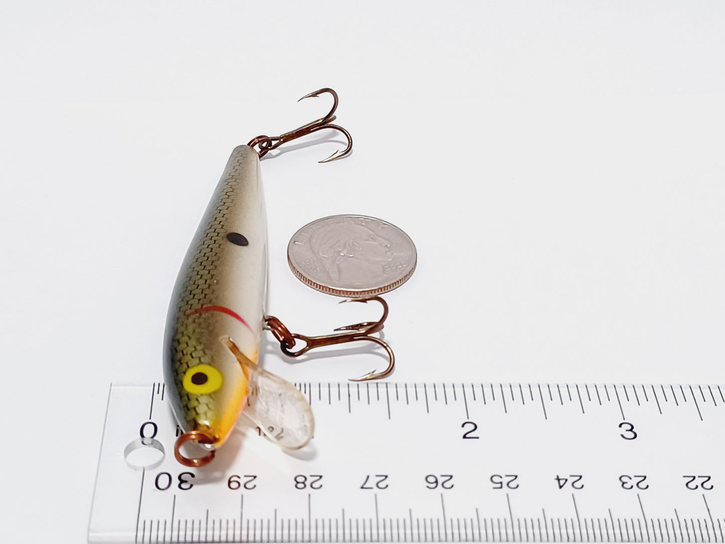 Vintage Rebel minnow floating lure