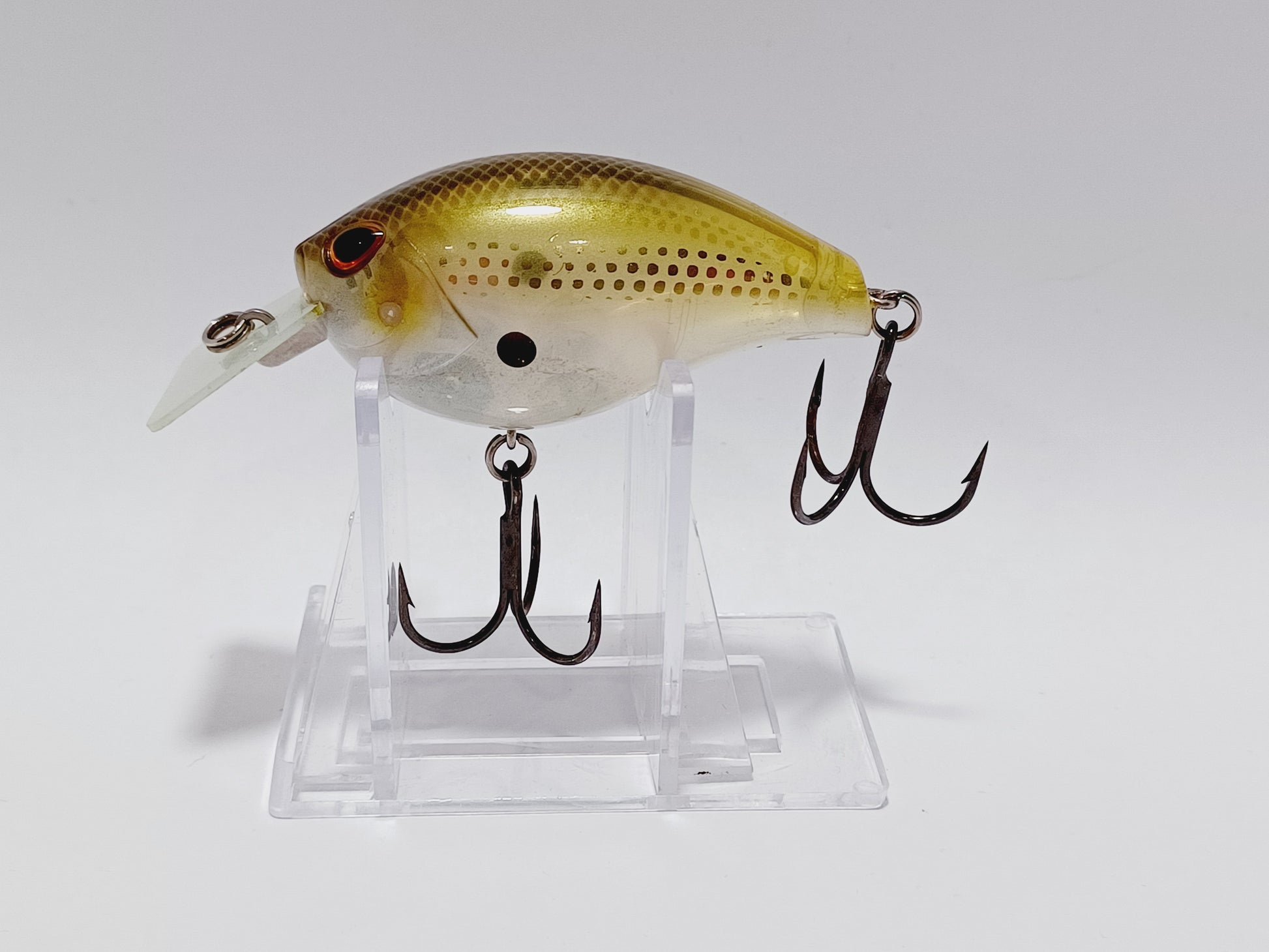 arashi fishing lures Storm Arashi square bill 5' diving crankbait lure – Cali Bass Baits